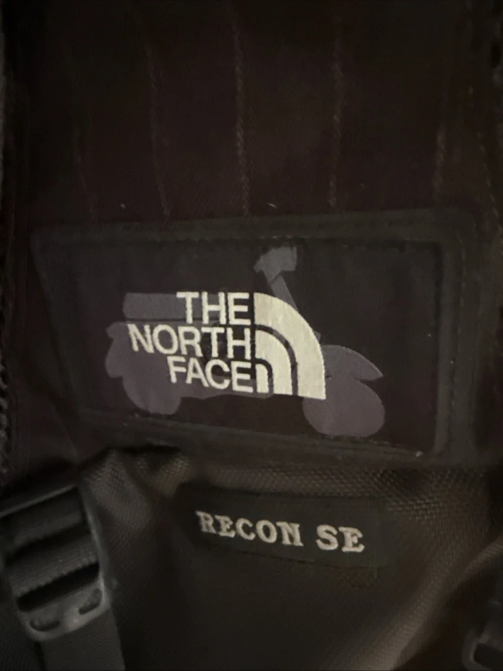 The North Face Black Vintage Recon Pinstripe 30 L Backpack Phish Donut Interior